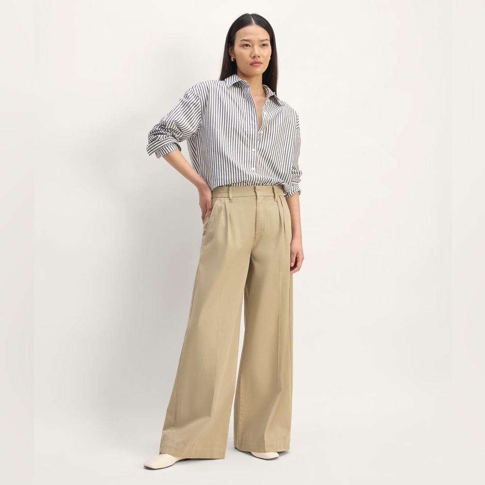 Everlane Wide Leg High Rise Khaki Pleated Pants